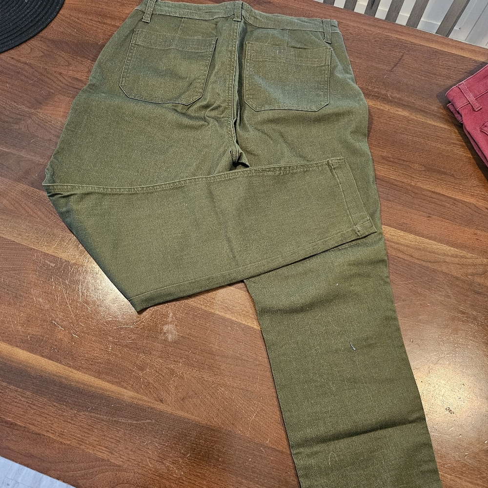 Studio blue size 10 / 30 pants new without tags green